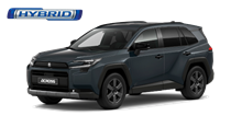 Suzuki Nuova Across Plug-In